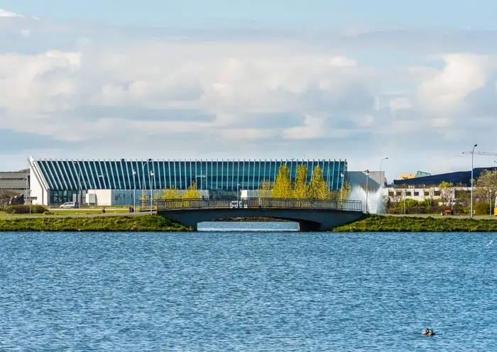 What are the top university programmes in Iceland?