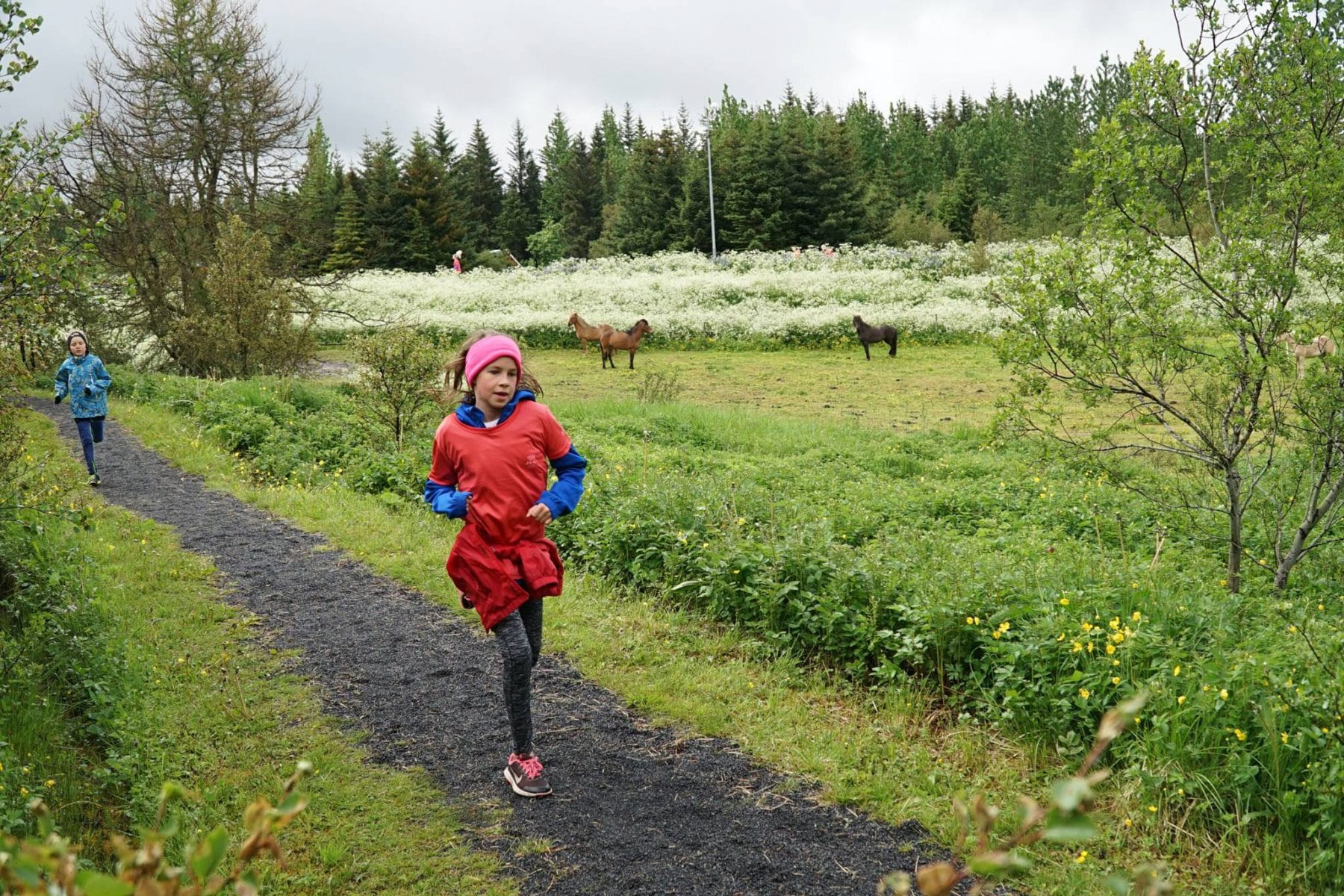 Icelanders Run Around the World, From Home