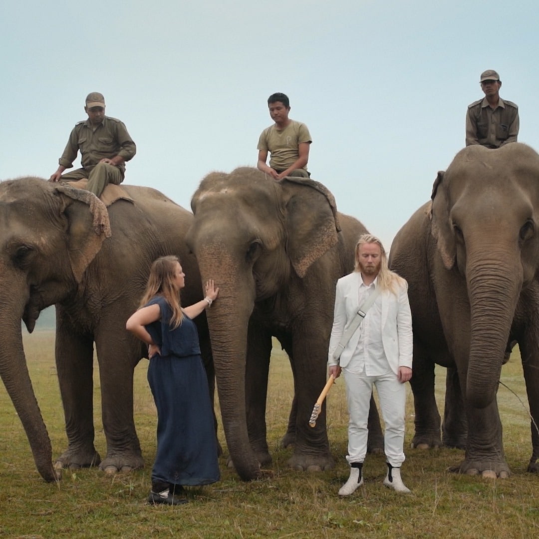 RIFF Kicks Off with 'Bipolar Musical Documentary with Elephants'