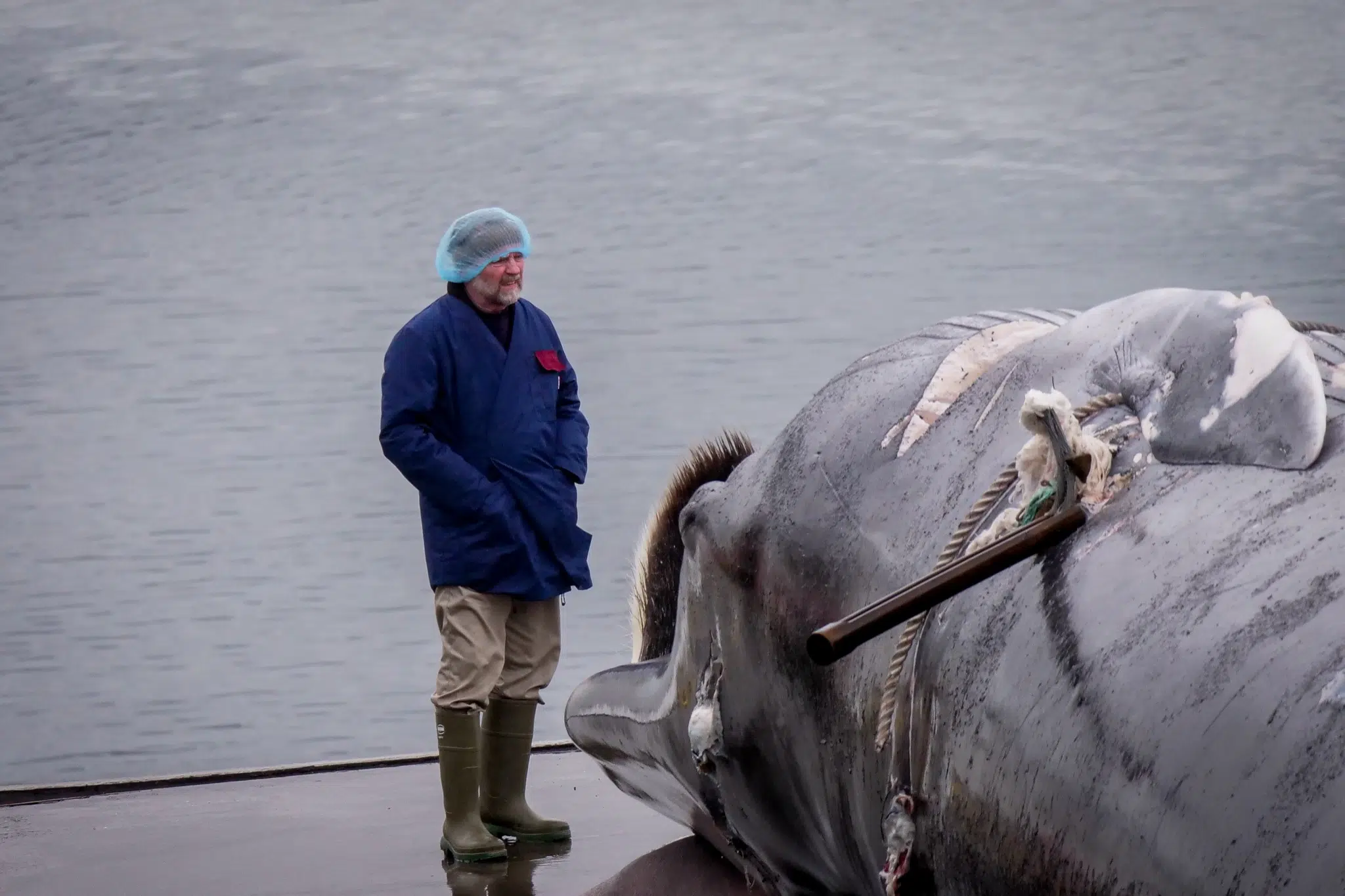Waljagd: Erlegter Wal musste viermal beschossen werden