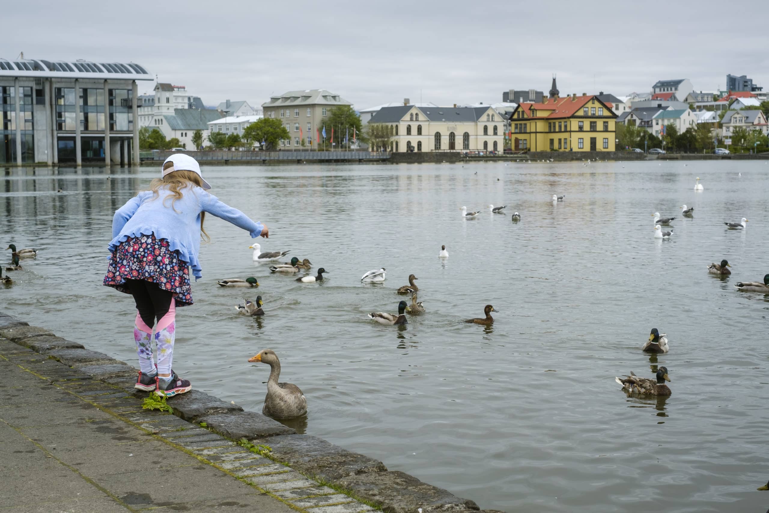 Reykjavík City Pond to Get Four More Islands