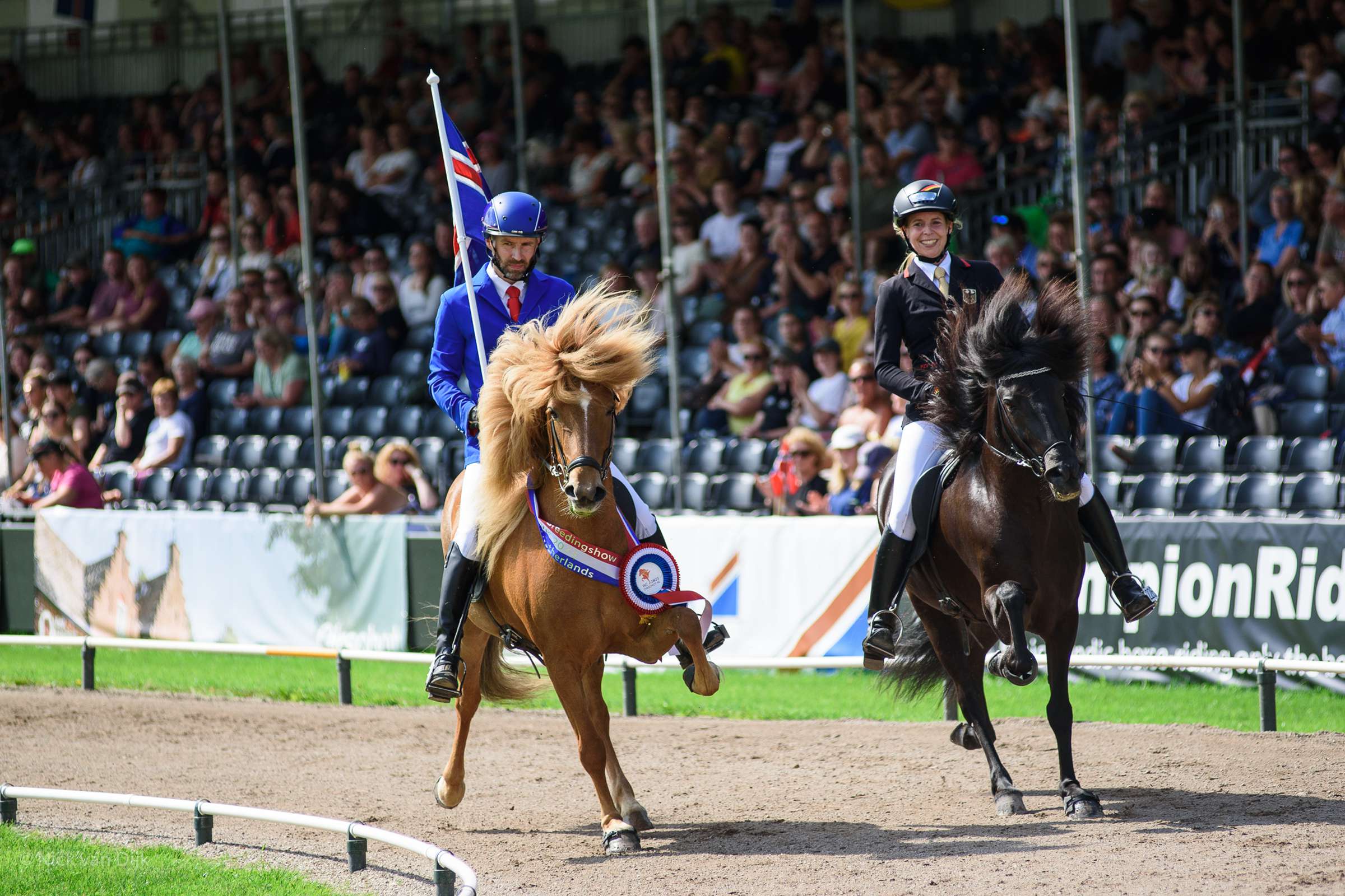 horses, WC2023, HM, Icelandic horse world championship