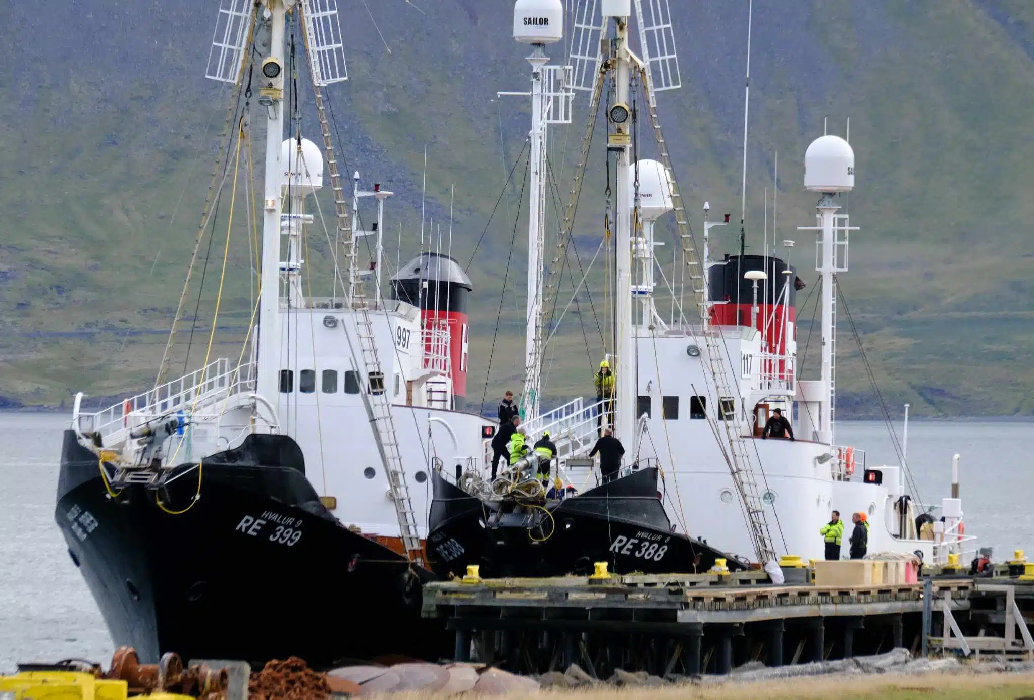 Walfang: Hvalur 8 wegen Tierschutzverletzung stillgelegt