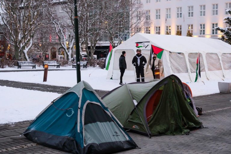 Palestinian protesters outside Iceland's Parliament
