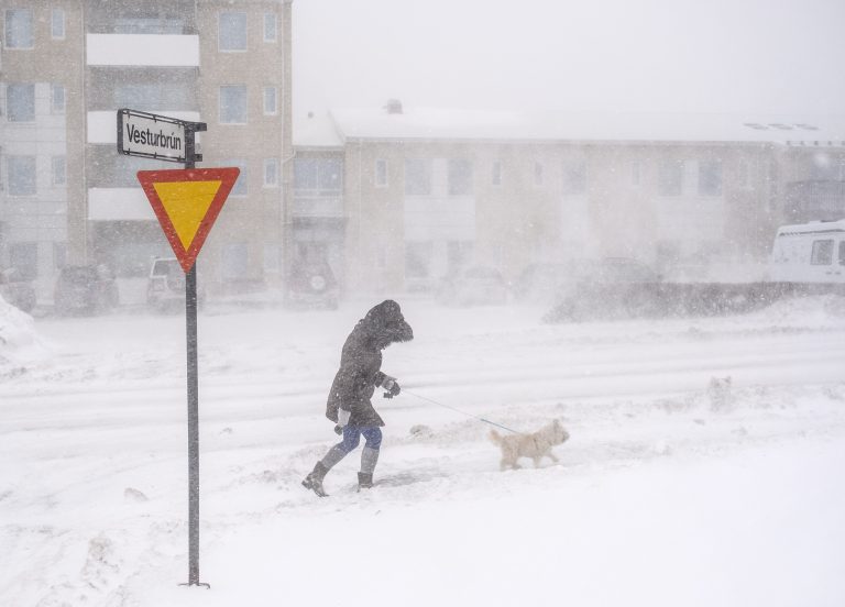 A person walking a dog in a snowstorm.